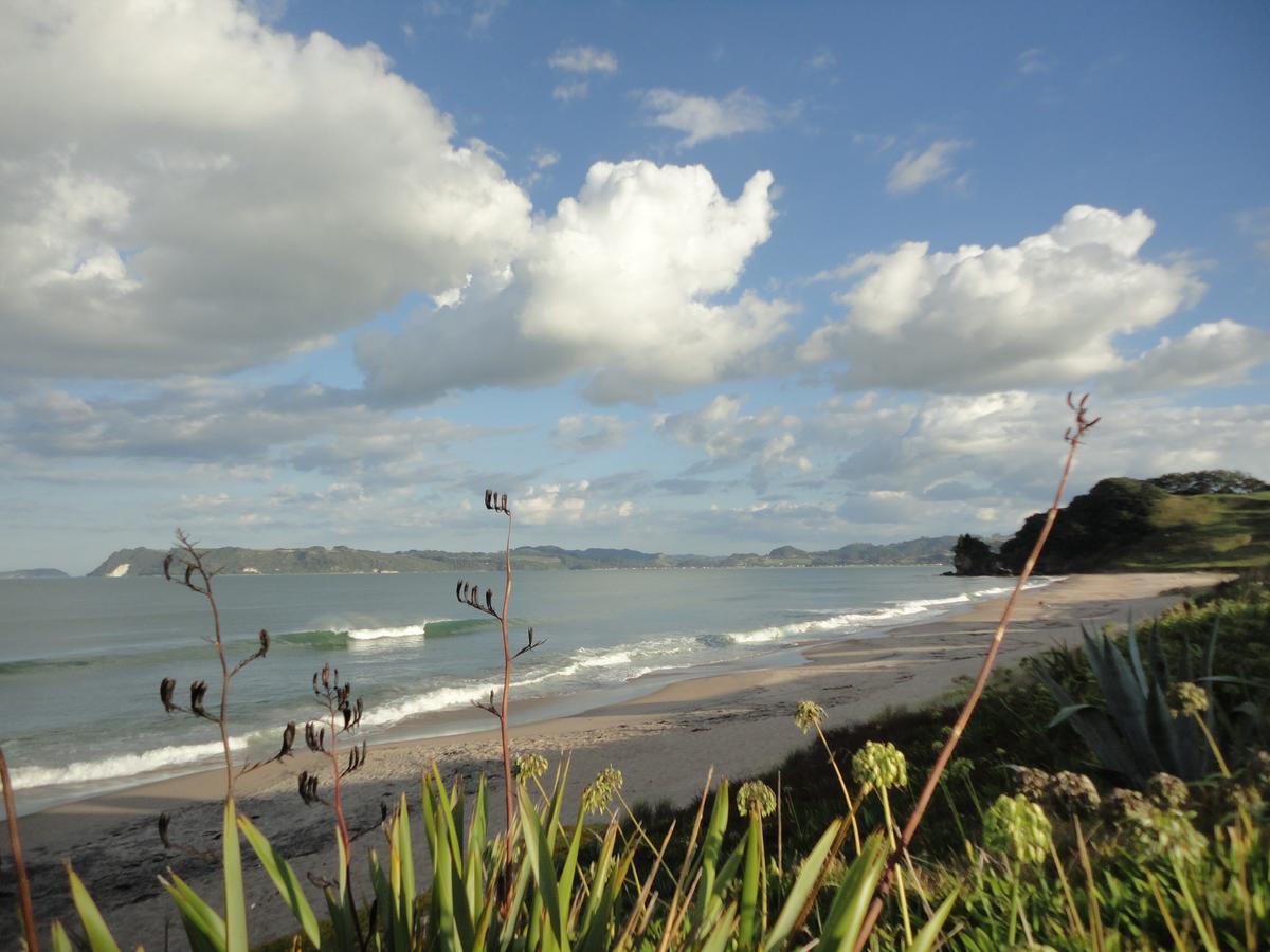 Ocean View B&B 怀蒂昂格 外观 照片